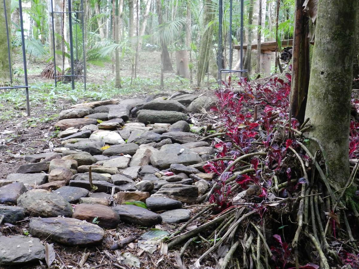 페네도 Casa Na Floresta 아파트 외부 사진